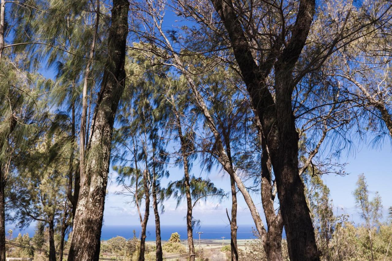 Lumeria Maui, Educational Retreat Center Makawao Exterior photo